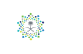 رؤية السعودية 2030